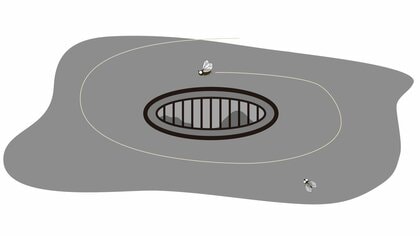 うっとうしいコバエを部屋に入れない・増やさない！市販の殺虫剤やトラップの特徴と使い方のコツをプロが解説