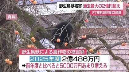 野生鳥獣による農作物への被害は2億円を超え過去最大　福島県　熊の被害は前年度の5.6倍に