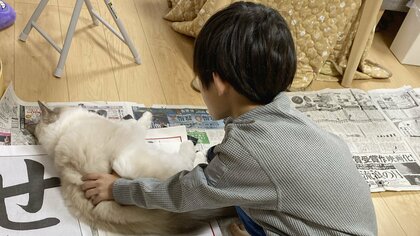 「戦いが始まった」書き初めをしたい小3息子と邪魔する猫の攻防が可愛い…“ネコハラ”はいつものこと？関係性を聞いた