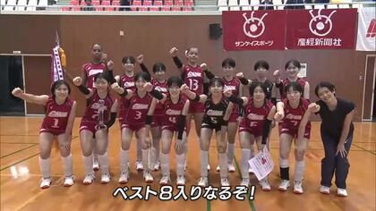 【春高バレー組み合わせ】男子・高知商業は山梨の日本航空、女子・高知中央は宮崎の日南学園と対戦