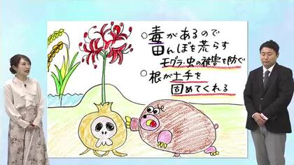 9月15日（火）宮崎の天気