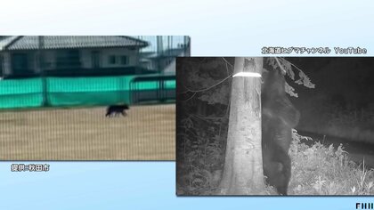 「ぱっと見たらクマが歩いてくるからさ」全国各地で相次ぐクマ被害　「エサ探しと繁殖期が重なる」“夏クマ”の危険性