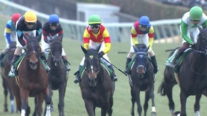 【フェアリーS】春クラシック戦線へ！豪脚自慢から母譲りの良血馬まで未来のスター候補たちが中山競馬場に集結！ 