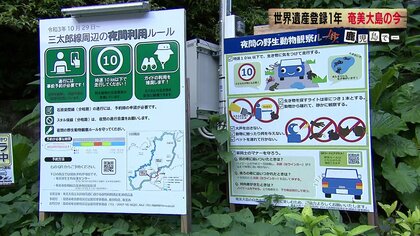 貴重な生物が車にひかれ…「世界自然遺産」奄美・徳之島　観光客が守るべき“ルール”とは【鹿児島発】