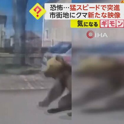 猛スピードで歩道を突き進み…市街地にクマ出没新映像公開　パニックになった市民を襲撃、5人が負傷　スロバキア