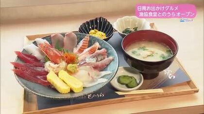 トレリン「日南お出かけ！漁協食堂とのうら＆マリンビューワー」