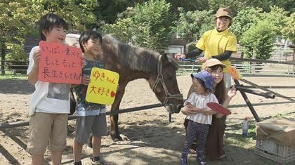 全国の動物園の「最高齢」38歳のポニー「ゆき」と記念撮影　人間で言えば100歳超　長生きの秘けつは「いっぱい食べる、寝る、強い気持ち」