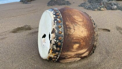 津波で流された石川･能登町の“太鼓” 100km以上離れた新潟･柏崎市に漂着｢復興のシンボルになれば｣