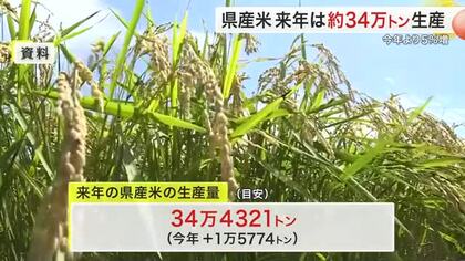 宮城県産米の生産目安３４万トン超に　２年連続引き上げで５％増　需要踏まえ作付面積も拡大
