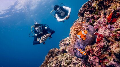 インドネシアが日本人ダイバーに大人気!スキューバダイビングに関する最新アンケート調査
