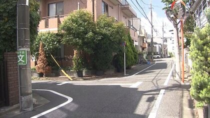 世田谷で警察官が拳銃1発を発砲　軽トラをパトカーに衝突させた疑いで20歳男を逮捕　けが人なし