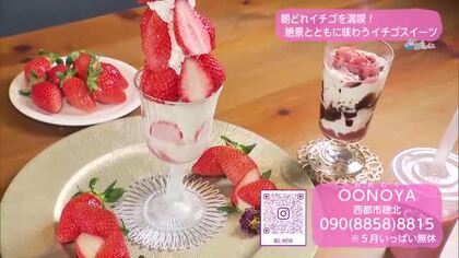 とれたてイチゴ専門のカフェ【トレリン】