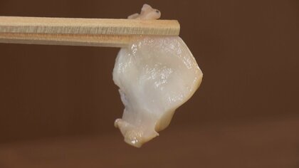 島根の“隠れた特産”「白バイ貝」を食べて知って！キャンペーンで認知度アップへ…アレンジメニューも【島根発】