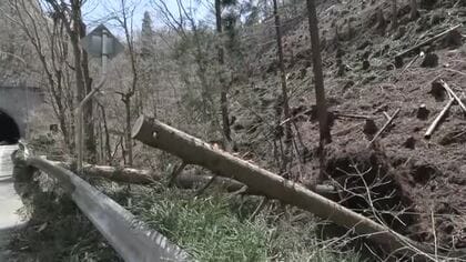 強風で建物被害や鉄道運休　発達した低気圧の影響続く　岩手県