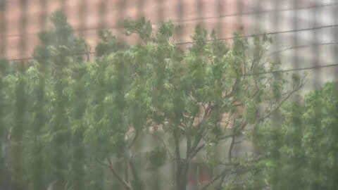 【中継】台風30号最接近の石垣島　「線状降水帯」発生の恐れ　厳重警戒