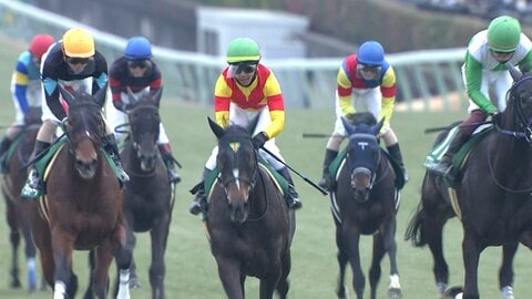 【フェアリーS】春クラシック戦線へ！豪脚自慢から母譲りの良血馬まで未来のスター候補たちが中山競馬場に集結！ 