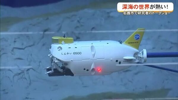 深海の世界が熱い！ 名護市で研究者がトークショー｜FNNプライムオンライン