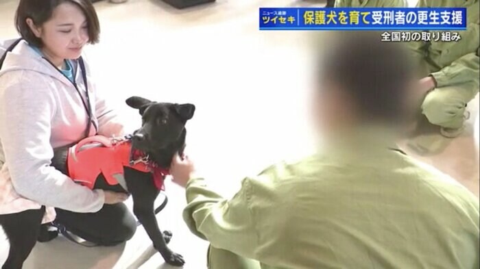 保護犬と信頼関係を築くトレーニングを受ける受刑者