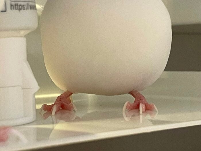 投稿の写真