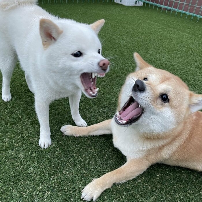 実は負けん気が強い!
