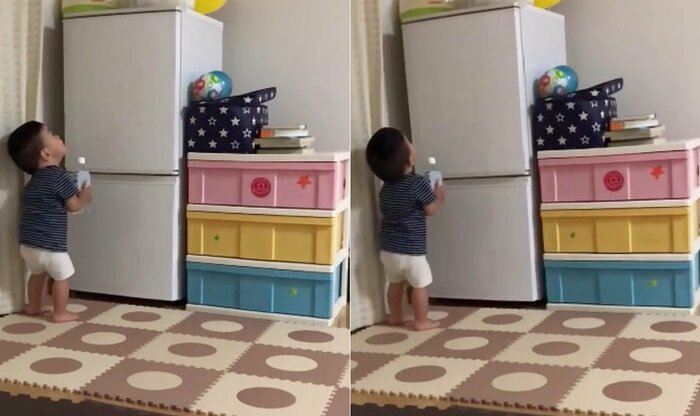 あれ?と見上げてキョロキョロ(提供:airiさん)