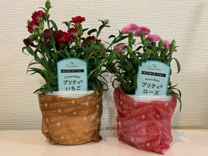リビングに飾っているというプレゼント。右のピンク色のカーネーションは長男からのプレゼント