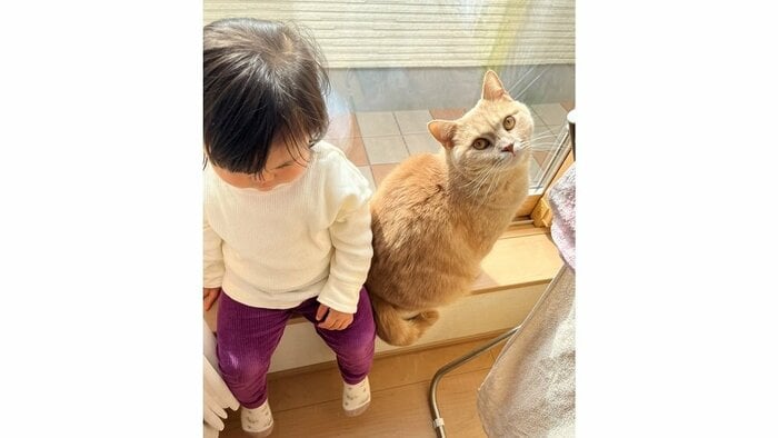 窓際で仲良しな娘さんと小鉄くん
