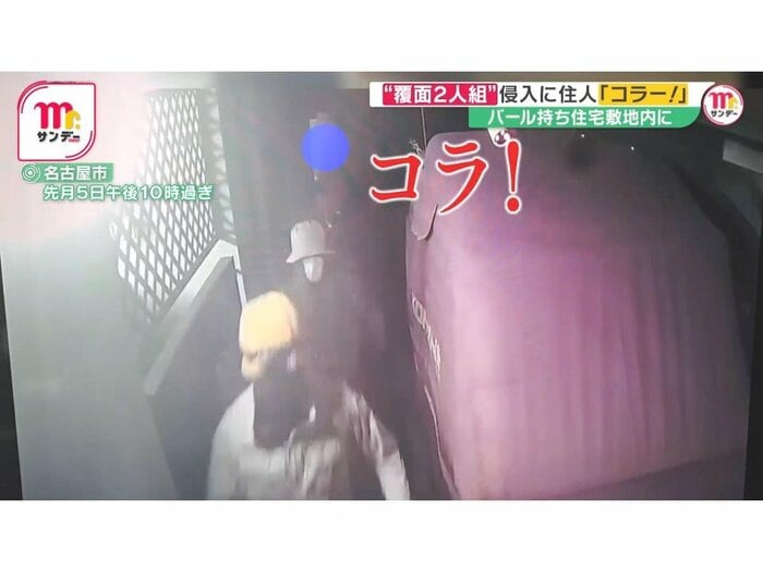 門を乗り越え奥の玄関に向かおうとした時「コラ!コラ!」という大きな声が周囲に響いた