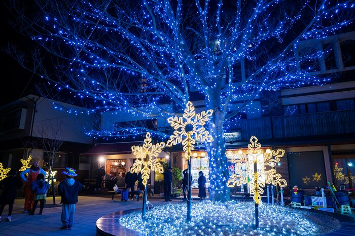 イルミネーションイベント「灯りの花ぼうろ」