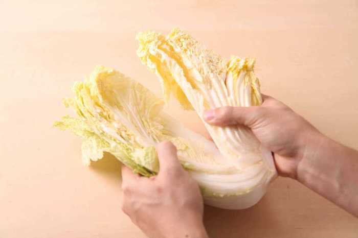 白菜は「内側から食べる」が正解って知ってた? その理由に白菜の生命力を感じさせる