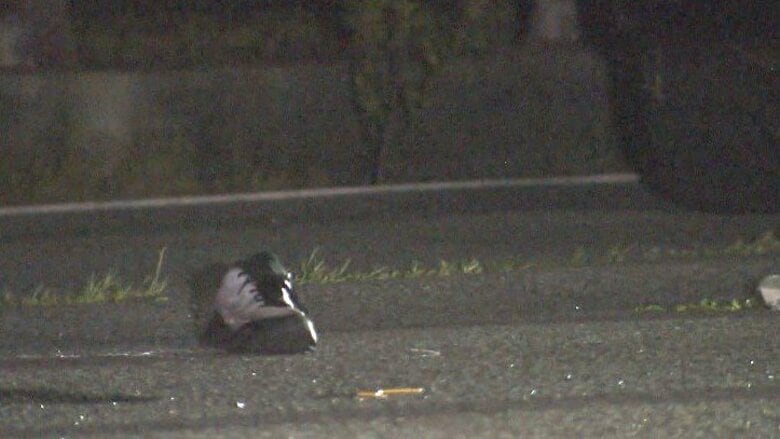 歩いて横断中か　51歳男性が死亡　国道で車にはねられる　横断歩道のない交差点　長野・中野市｜FNNプライムオンライン