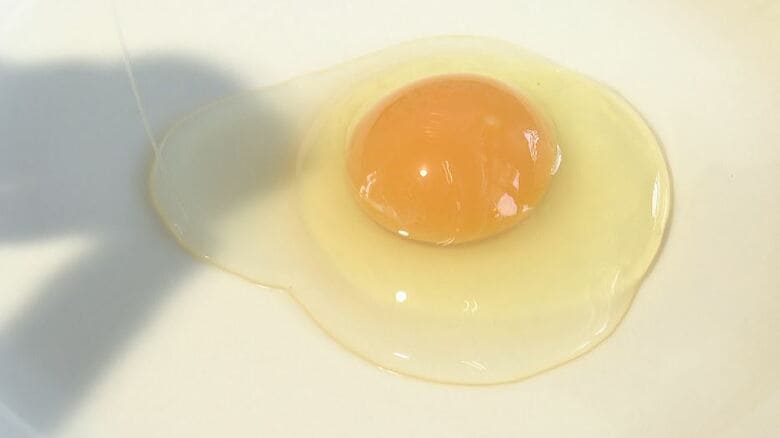 ケーキ店、おでんが売りの店は悲鳴…卵の価格高騰“1キロ当たり326円” 「エッグショック」に迫る高値 |FNNプライムオンライン