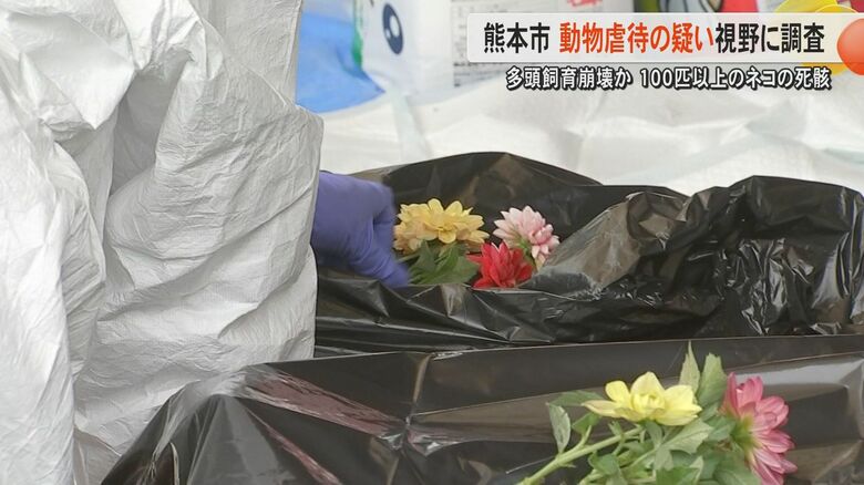 【解説】「所属団体は熊本県の登録団体」保護ネコ活動の女性の自宅から100匹以上のネコの死骸「動物保護の活動は各団体の任意」｜FNNプライムオンライン