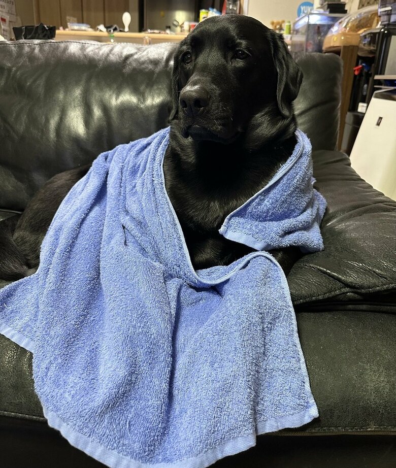 お風呂上がりにタオルを巻いて　どこか貴婦人のよう