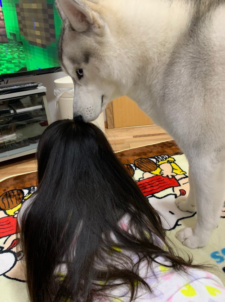 娘さんが大好きな琥珀くん（提供：misaさん）