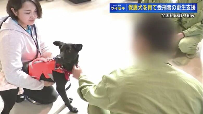 保護犬と信頼関係を築くトレーニングを受ける受刑者