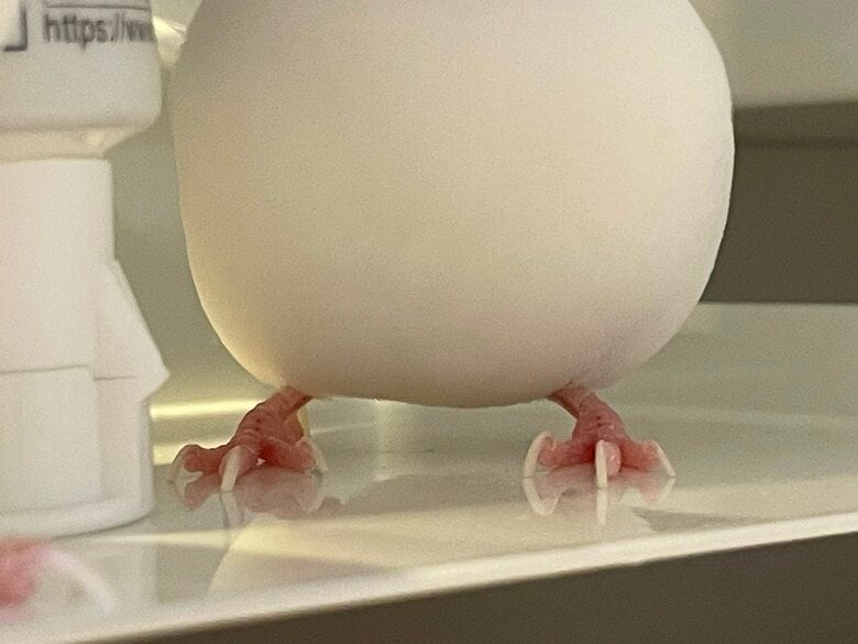 投稿の写真