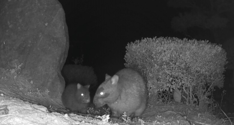 画像提供　森と海の藝術楽校