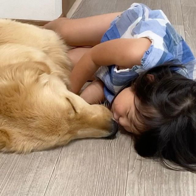 提供：西村 まひろさん