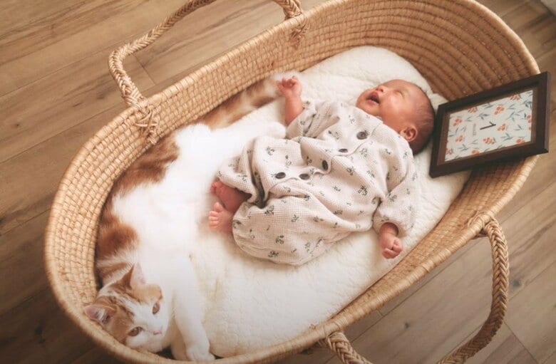 月齢フォト（提供：こなつさん）