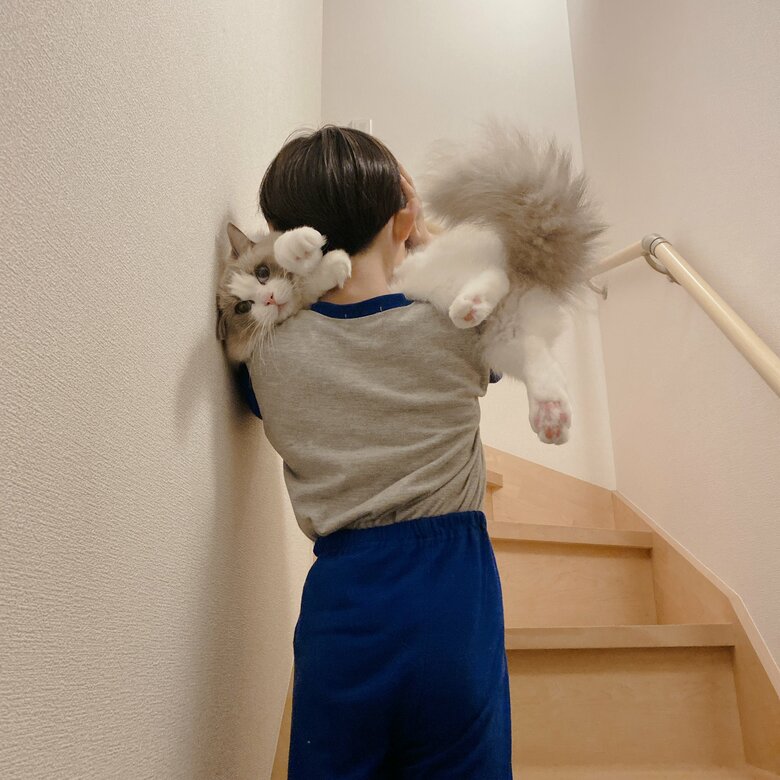 抱えられてのぼっていくことも