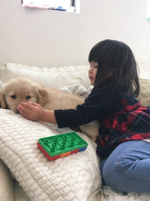 提供：西村 まひろさん