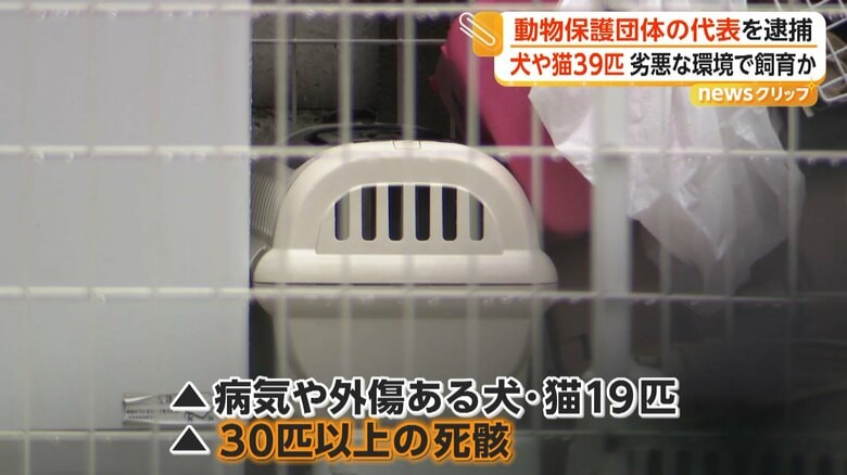 丸ノ内容疑者の自宅には、少なくとも30匹以上の死骸が放置されていた