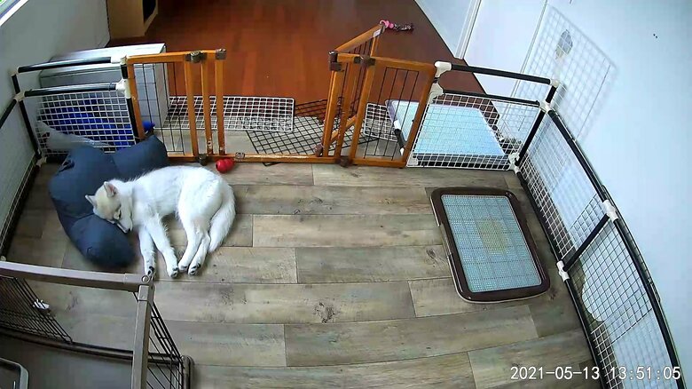 5月13日の様子。前日がうそのように穏やかだったという