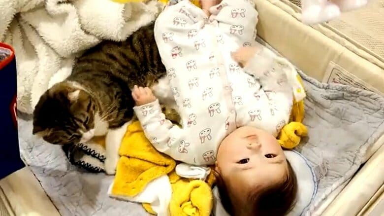 一緒に寝ている猫と赤ちゃん