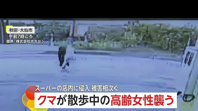 防犯カメラが捉えた、クマが高齢女性に襲いかかる瞬間⑤