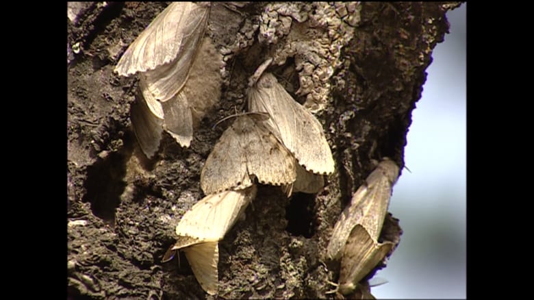 十勝の本別町で撮影