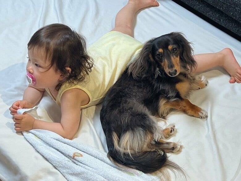 家族とくっついていたいこうちゃん