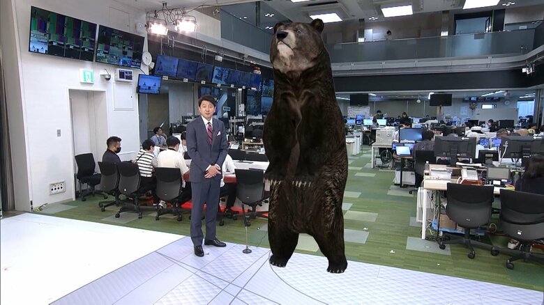 青井キャスターとヒグマのサイズを比較したCG