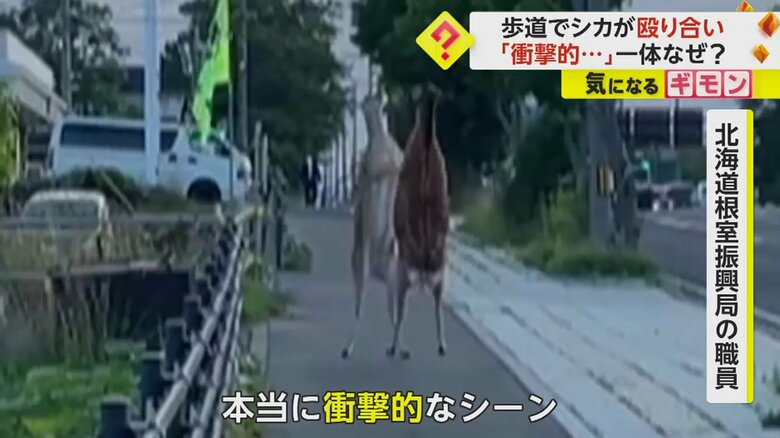 （北海道根室振興局）